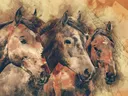 Digitale schilderij van drie paardenkoppen naast elkaar