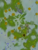 Wazig, schilderachtig beeld van gele paardenbloemen en blauwe bloemen tussen groen gras.