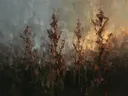 Droogbloem van dichtbij in roest, schilderij van droogbloem aan de oever