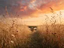 Landschapsfoto van droogbloemen bij het gouden uur, met een roeibootje
