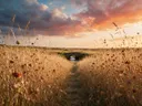 Landschapsfoto van droogbloemen bij het gouden uur, met een stenen bruggetje