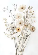 Aquarel boeket van crèmekleurige droogbloemen