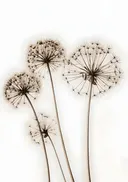 Schilderij van droogbloemen in silhouet