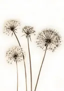 Schilderij van droogbloemen in sepia tinten
