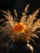 Fotografie van droogboeket in het gouden uur