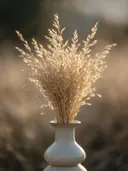 Fotografie van droogboeket in het gouden uur, gedempt strogeel