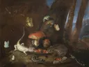 Een bosgrond met hagedissen, padden en vlinders van Otto Marseus van Schrieck: landschap met bloemen