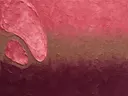 Abstract schilderij, eén kleur aan de linkerrand in roze en aubergine