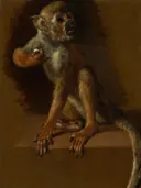 Een zittend aapje van Jan Weenix: dieren met aap, zittend, fruit en dierportret, in warm bruin