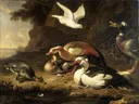 Eenden van Melchior d'Hondecoeter: dieren met eenden, ganzen, water en oever, in wit en bruin op donker