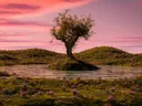 Eenzame boom op een klein eilandje in stil water bij een roze zonsondergang