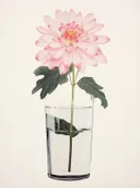 Een roze chrysant in een glas water tegen een lichte achtergrond.