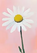 Schilderij van een enkele witte madeliefje