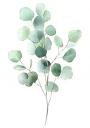 Aquarel schilderij van eucalyptus bladeren
