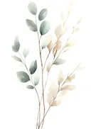 Aquarel schilderij van eucalyptus twijgen