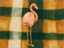 Schilderij van flamingo in amber en flessengroen, in vlakke kleurvlakken