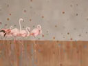 Schilderij van flamingo in kaneel en duifgrijs, in vlakke kleurvlakken