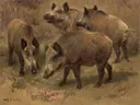 Four Boars in a Landscape .webp van Rosa Bonheur: dieren met wilde zwijnen, biggen, zand en struiken, in warm bruin
