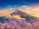 Mount Fuji met sneeuw op de top en kersenbloesem op de voorgrond bij zonsondergang.