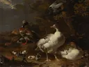 Ganzen en eenden van Melchior d'Hondecoeter: dieren met ganzen, eenden, kuikens en water, in warm bruin met wit