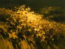 Geel bloemenveld op de helling in goudoker, botanisch schilderij