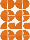 Grafisch abstract schilderij met gefragmenteerde cirkels in oranje