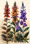 Botanische prent van gekleurde bloeiwijzen