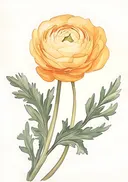 Aquarel van een gele bloem op een dubbele steel