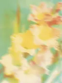 Wazige abstracte macrofoto van gele bloemen tegen een groene achtergrond