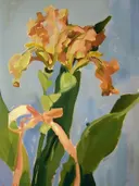 Gele canna lelie schilderij