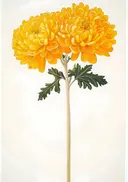 Schilderij van gele herfstbloemen