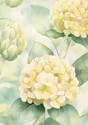Aquarel van gele hortensiabloemen met een bloemknop