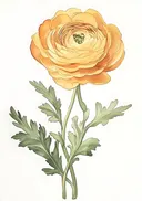 Aquarel van een gele bloem met gelaagde bloemblaadjes