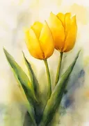 Aquarel schilderij van gele tulpen
