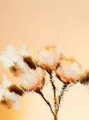 Artistieke, schilderachtige weergave van droogbloemen in oranje en amberkleuren.