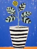 Stilleven van een potplant met gestreepte bladeren en gele bloem in een zwart-wit gestreepte pot