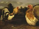 Gevecht tussen een haan en een kalkoen van Frans Snyders: dieren met haan, kalkoen, vogels en gevecht, in warm bruin en goud