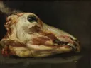 Gevilde kop van een jonge stier van Felice Boselli: stilleven