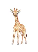 Waterverf illustratie van een babygiraffe