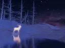 Gloeiend wit hert in een besneeuwd nachtelijk bos met sterrenhemel.
