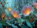Schilderij van gloeiende oranje hibiscusbloemen in een mistig bos