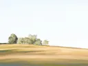 Schilderij van een glooiende heuvel met een bomengroep tegen een lichte lucht.