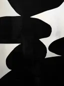 Abstract schilderij met golvende witte vormen op een zwarte achtergrond.