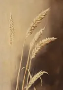 Close-up van gouden korenaren