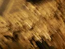 Abstracte compositie van gouden en bruine bewegingsstrepen.