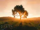 Zonsopkomst & Zonsondergang