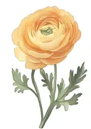 Goudgele ranonkel aquarel, botanisch schilderij