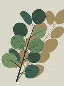 Illustratie van een eucalyptustak met ronde groene bladeren
