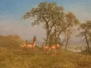 (Grazing antelope093507) van Albert Bierstadt: dieren met antilopen, bomen, weide en prairie, in warm groen en okergeel