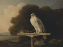 Greenland Falcon van George Stubbs: dieren met vogels, bomen en valk